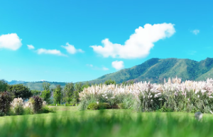 不拘泥一般常识的类型