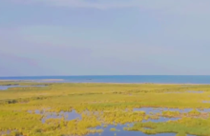 紫微斗数雄宿朝元格