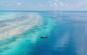 台辅封诰在夫妻宫