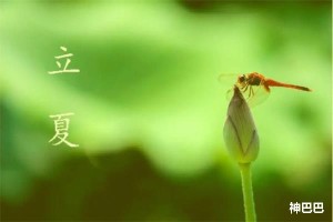 立夏的来历和风俗