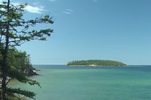 双重华盖紫微斗数