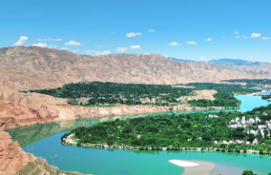 八字富贵是什么意思