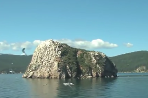 八字中禄逢冲什么意思