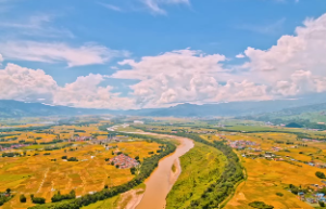  日月同宫在丑辛年