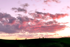 家具风水布局风水大忌