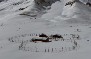 女的八字无官星可怎么办