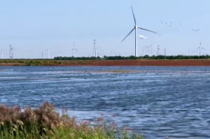 炉中火遇到炉中火