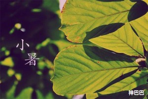 小暑的风俗及饮食特点是什么