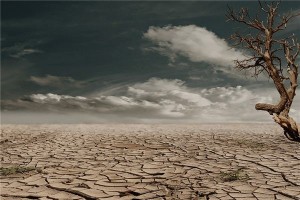 梦见荒地是什么意思？