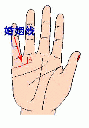 能和豪门结亲者的婚姻线