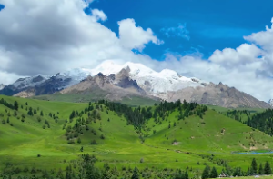 泽地萃卦的寓意