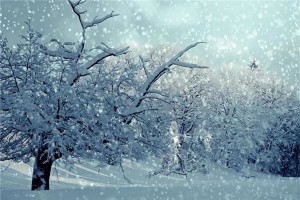 孕妇梦见下雪是什么意思？