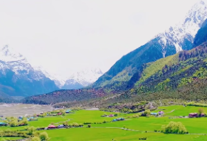 廉杀擎羊入命宫