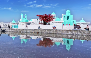 我的八字适合养什么宠物