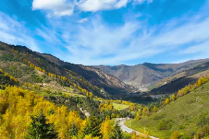 八字论十天干的具体解析