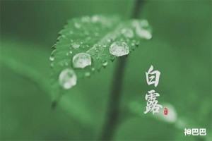 白露节气的含义是什么