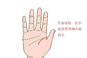 生命线短的人是不是就短命