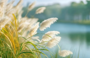 四柱八字怎样判断姻缘