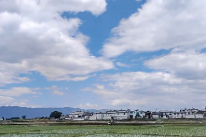 几点出生是子时