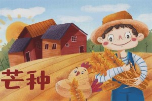 2025年芒种节气是哪一天几月几号几点开始