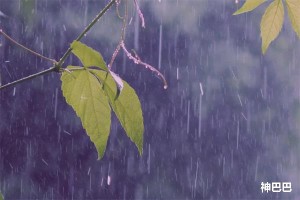 谷雨节气吃啥好