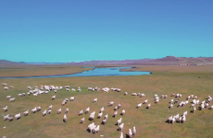 大海水命一般人压不住吗