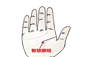 智慧线过短或过垂代表什么