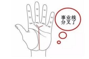 事业线分叉好不好