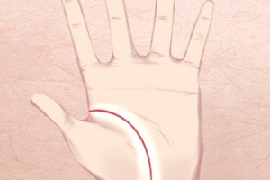 女人手掌有鱼形纹详解