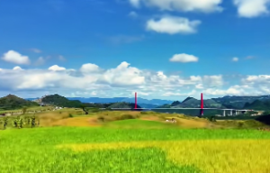 12地支合化成功的条件