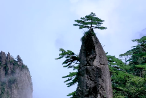 四柱中日柱代表什么
