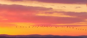 七杀与偏官的区别