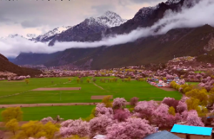 八字无财是什么