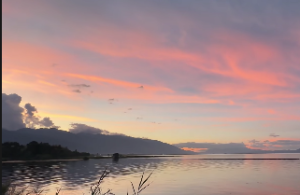 山头火和大林木配不配