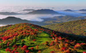 山天大畜卦求财运