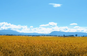 风水上说的星斗是什么意思