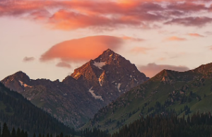 四柱纯阳命是什么