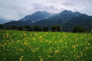申时是什么时间