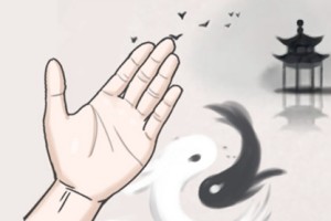 豪门少奶奶的手相