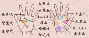 手相感情线大全图解 女士