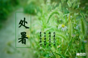处暑是什么意思