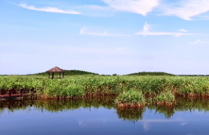 土命木命合不合