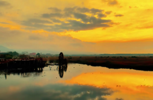 紫微斗数看财运极佳