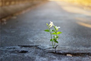 梦见裂缝 漏洞是什么意思？