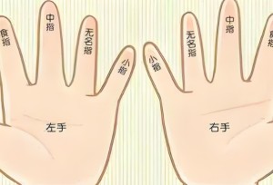无名指和小指指纹奥秘分享