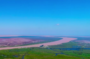  紫微斗数各个星 