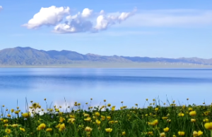 玄关风水讲究如何布置