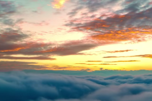 天干对地支喜忌