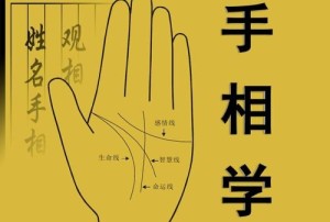 手相真的可以看出人的一生吗