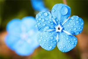 梦见春天细雨是什么意思？